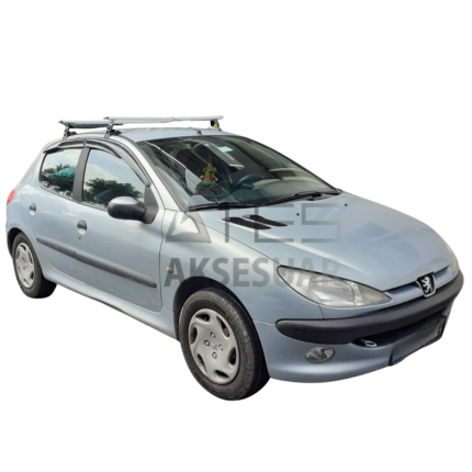 Peugeot 206 2004 Ara Atki